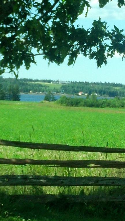 Lovely Green Gable Home Miscouche Bagian luar foto